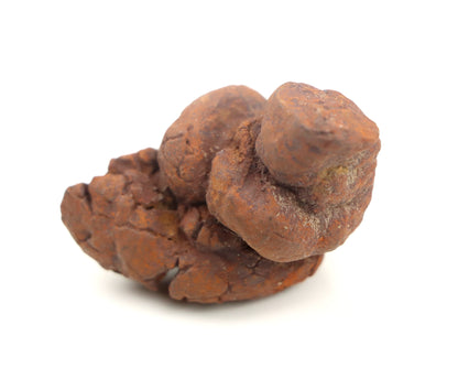 Dinosauří koprolit - Supreme Panthers