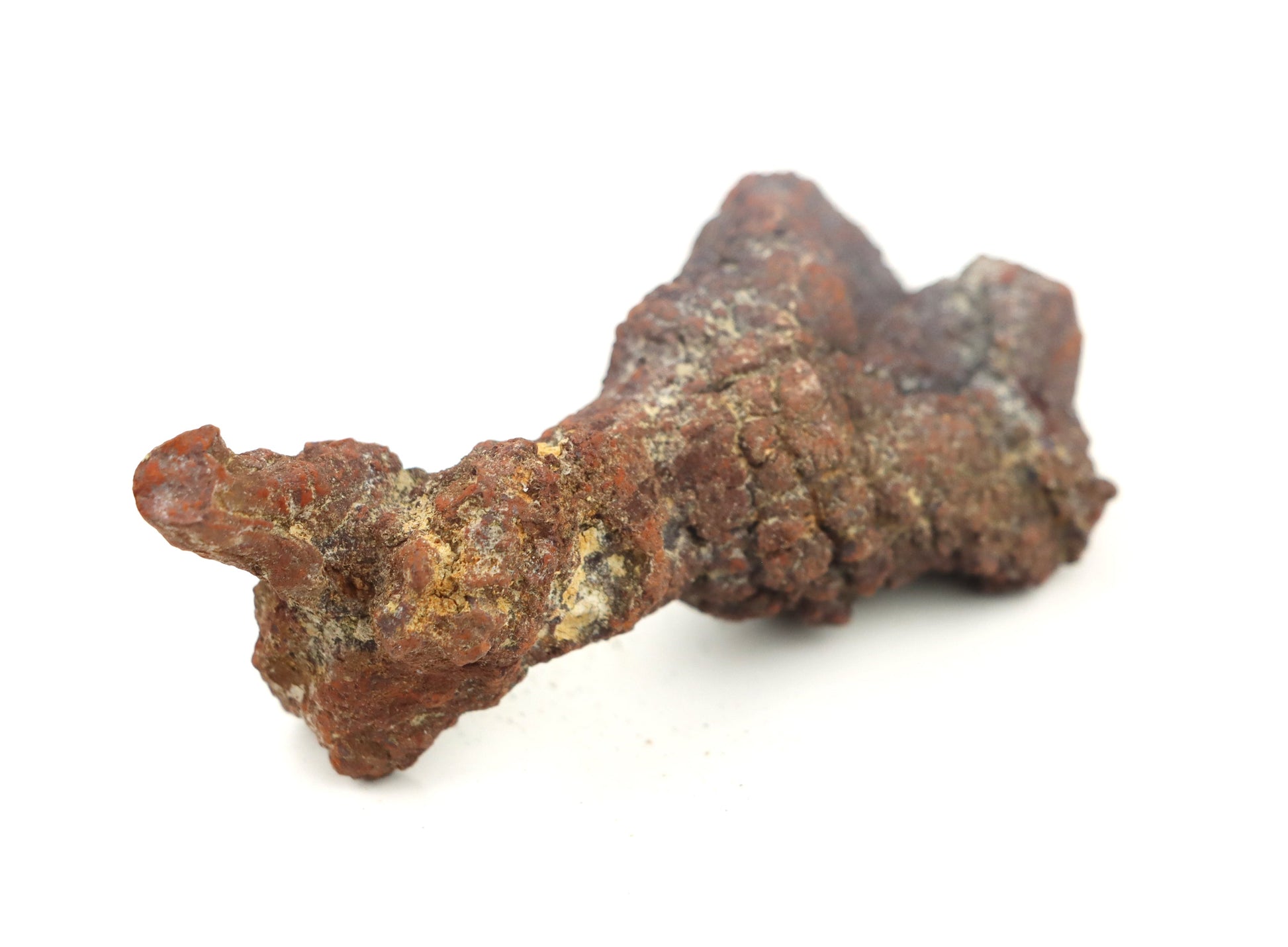 Dinosauří koprolit - Supreme Panthers