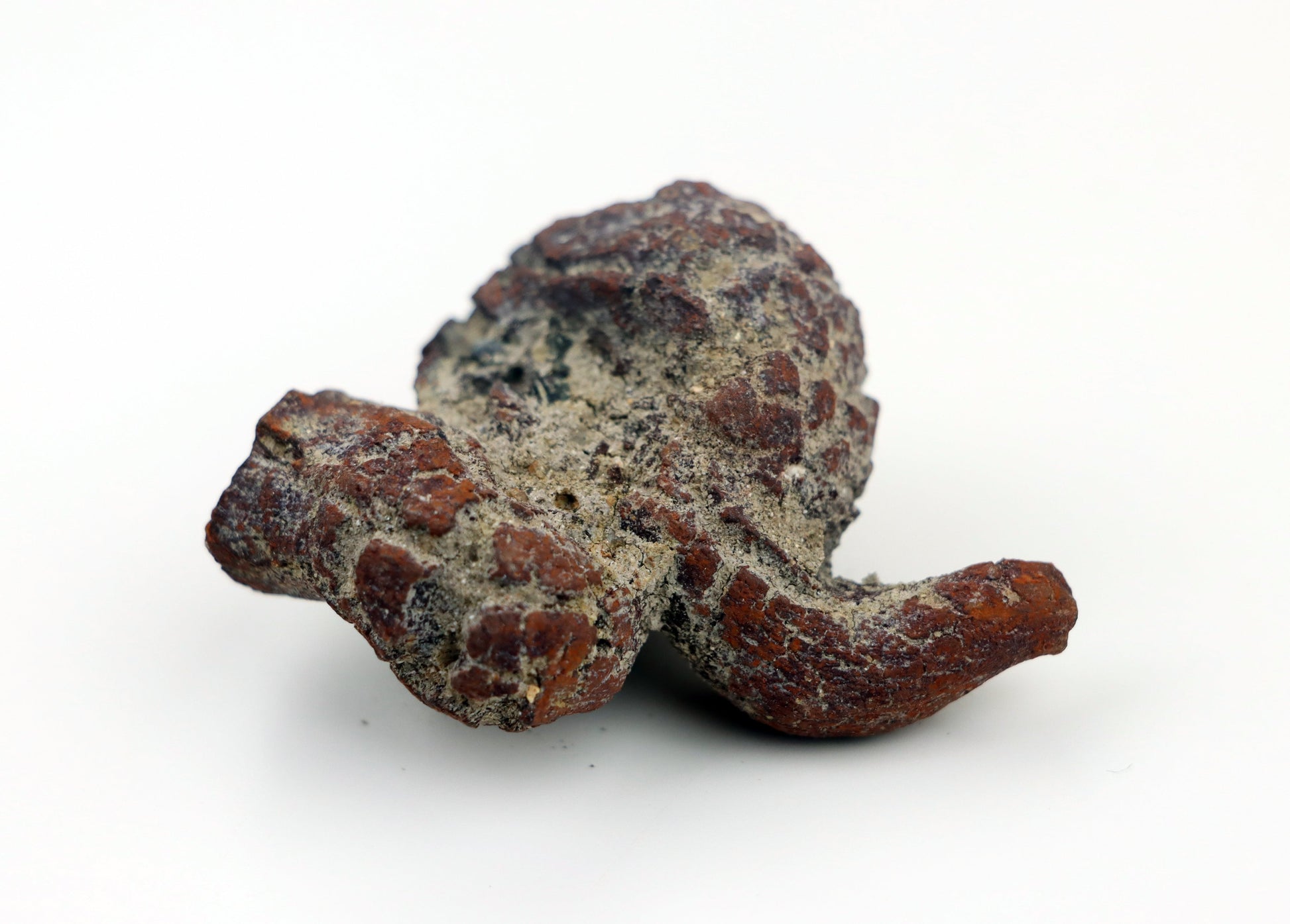 Dinosauří koprolit - Supreme Panthers