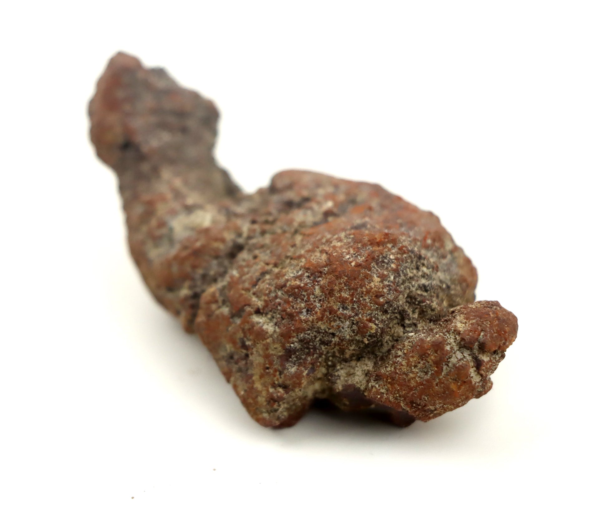 Dinosauří koprolit - Supreme Panthers