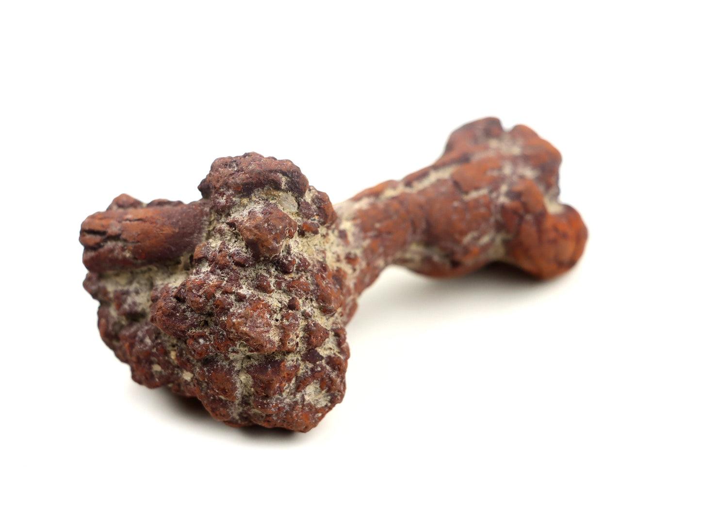 Dinosauří koprolit - Supreme Panthers