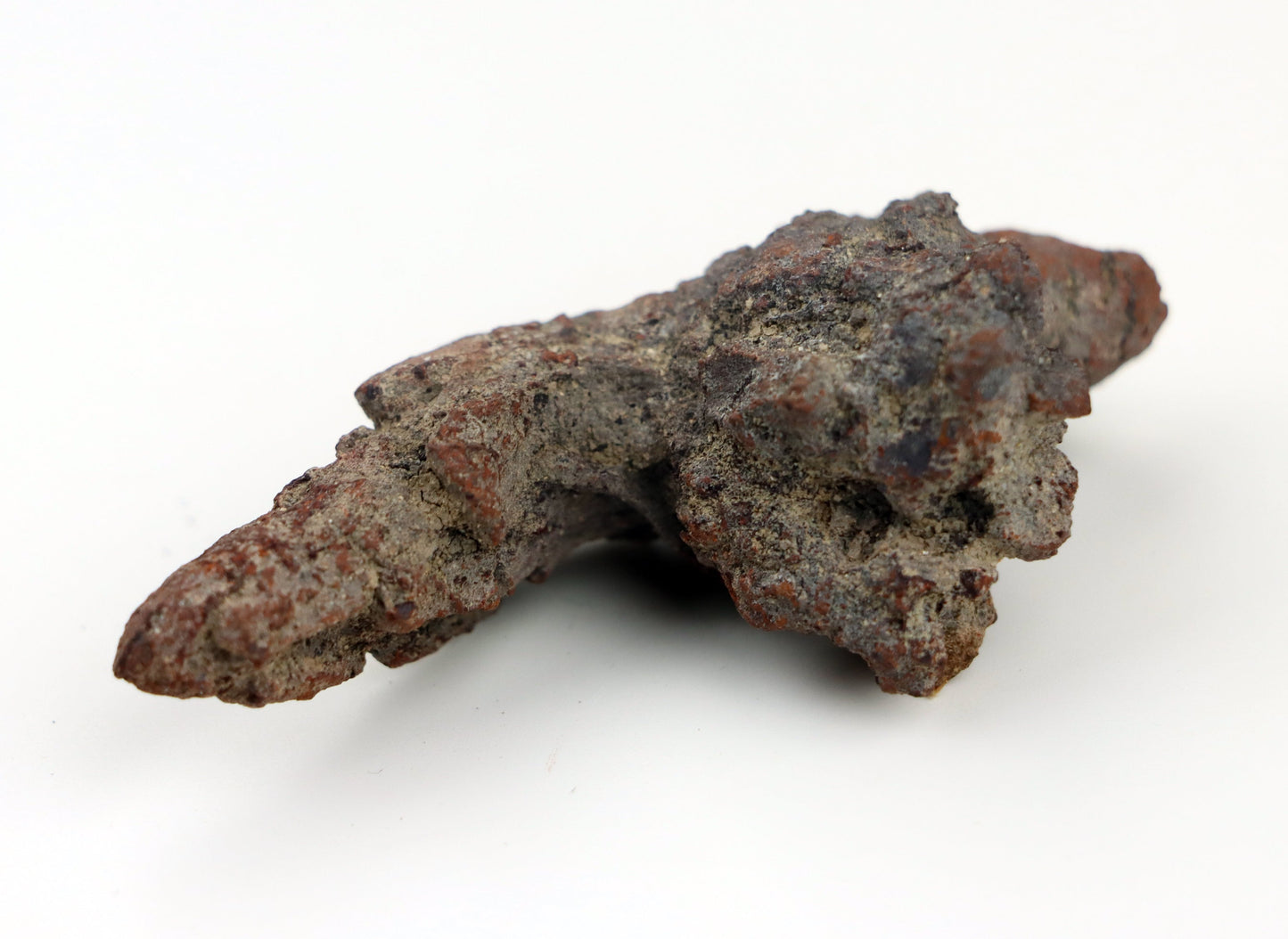 Dinosauří koprolit - Supreme Panthers