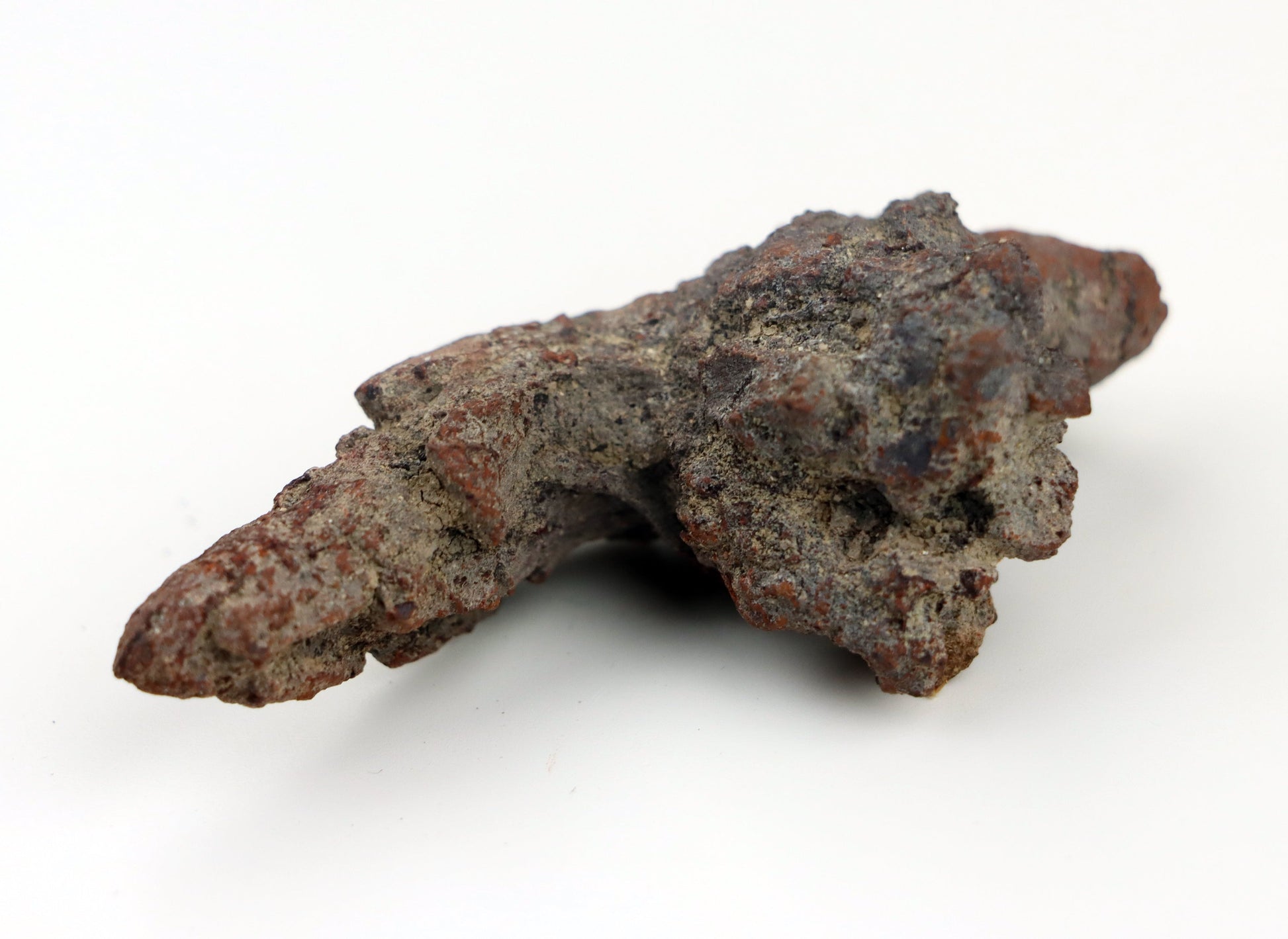 Dinosauří koprolit - Supreme Panthers