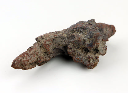 Dinosauří koprolit - Supreme Panthers