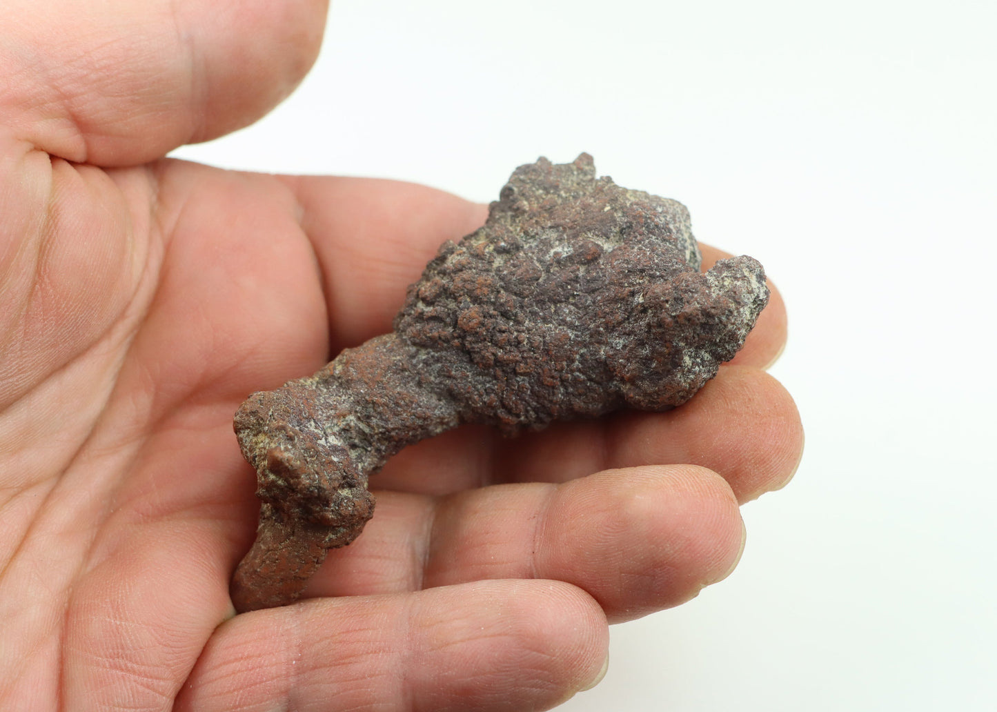 Dinosauří koprolit - Supreme Panthers