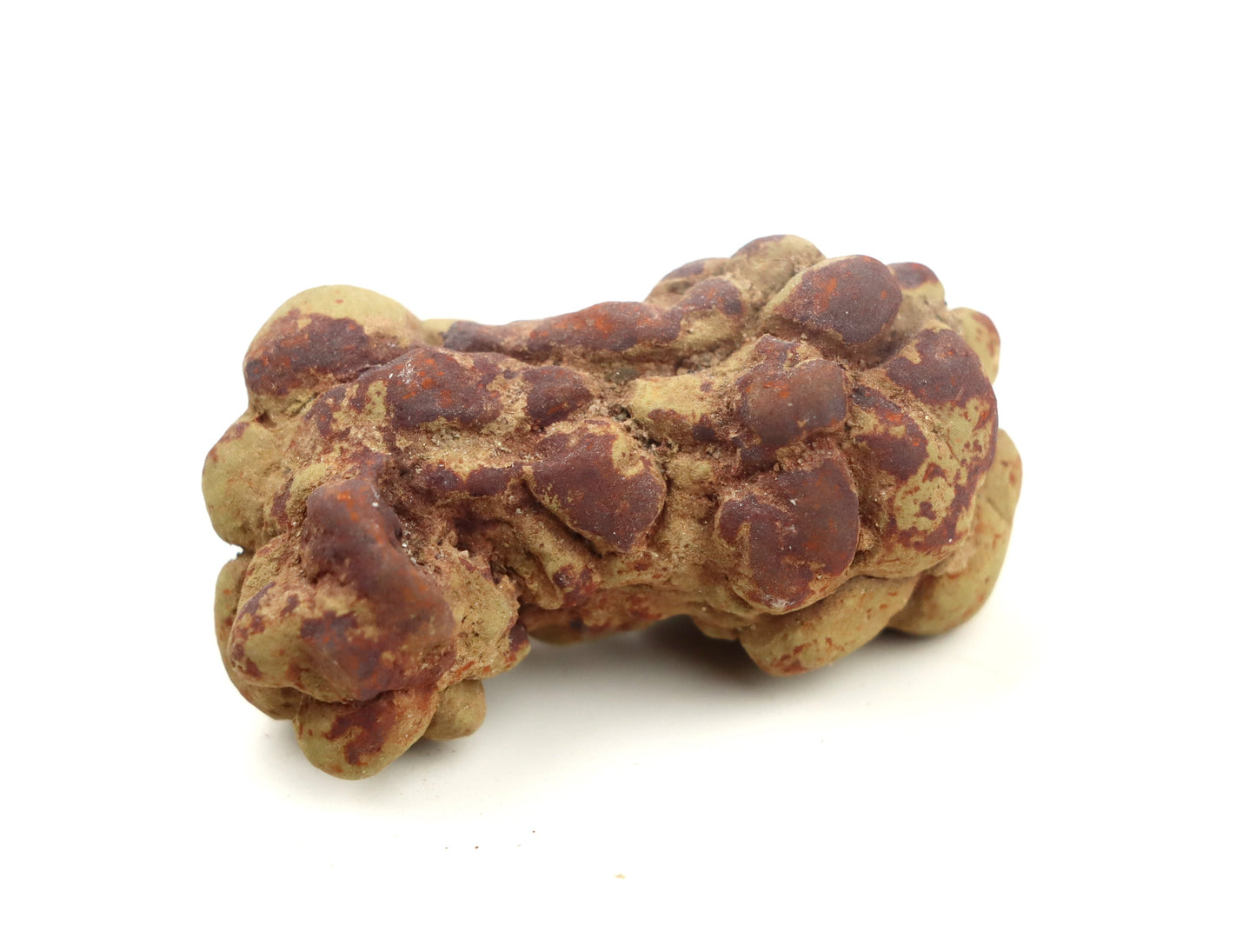 Dinosauří koprolit - Supreme Panthers