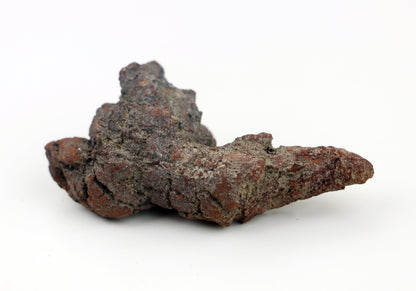 Dinosauří koprolit - Supreme Panthers