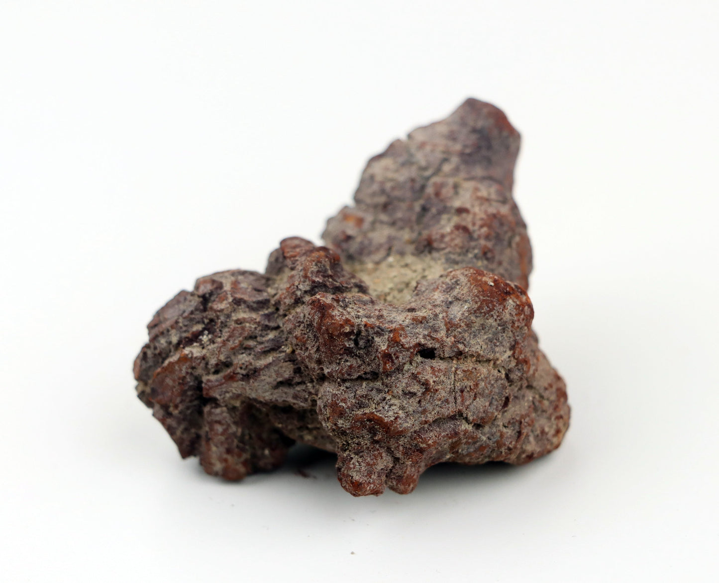 Dinosauří koprolit - Supreme Panthers