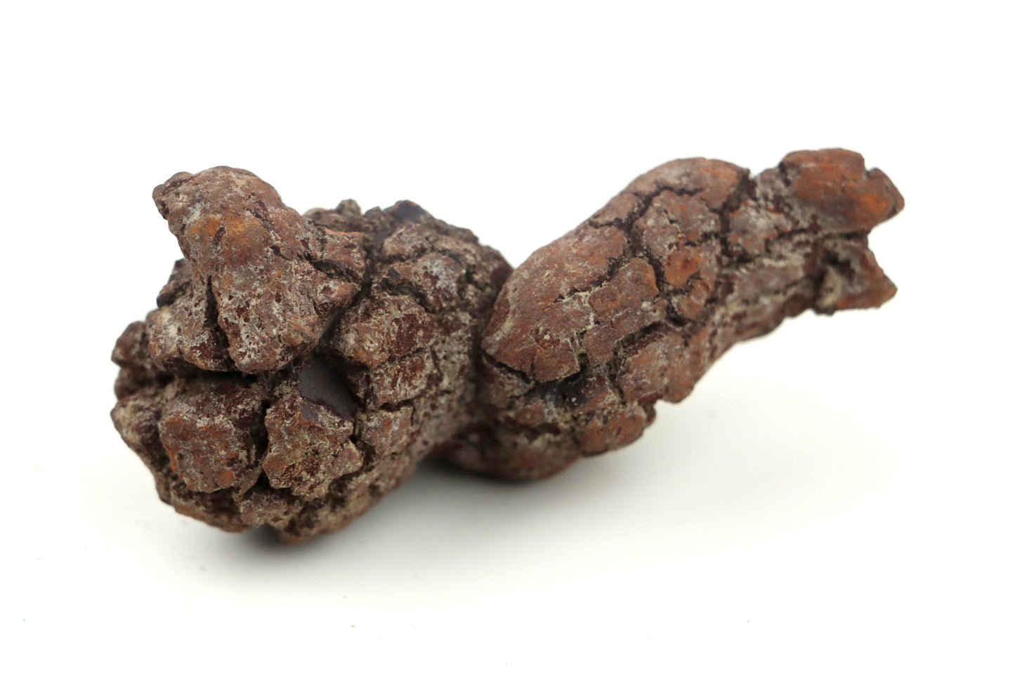 Dinosauří koprolit - Supreme Panthers