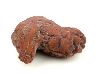 Dinosauří koprolit - Supreme Panthers