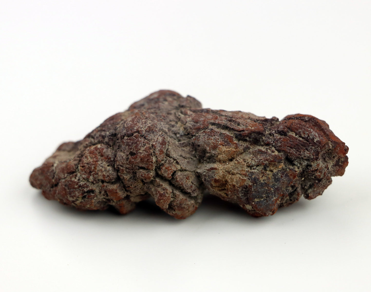 Dinosauří koprolit - Supreme Panthers