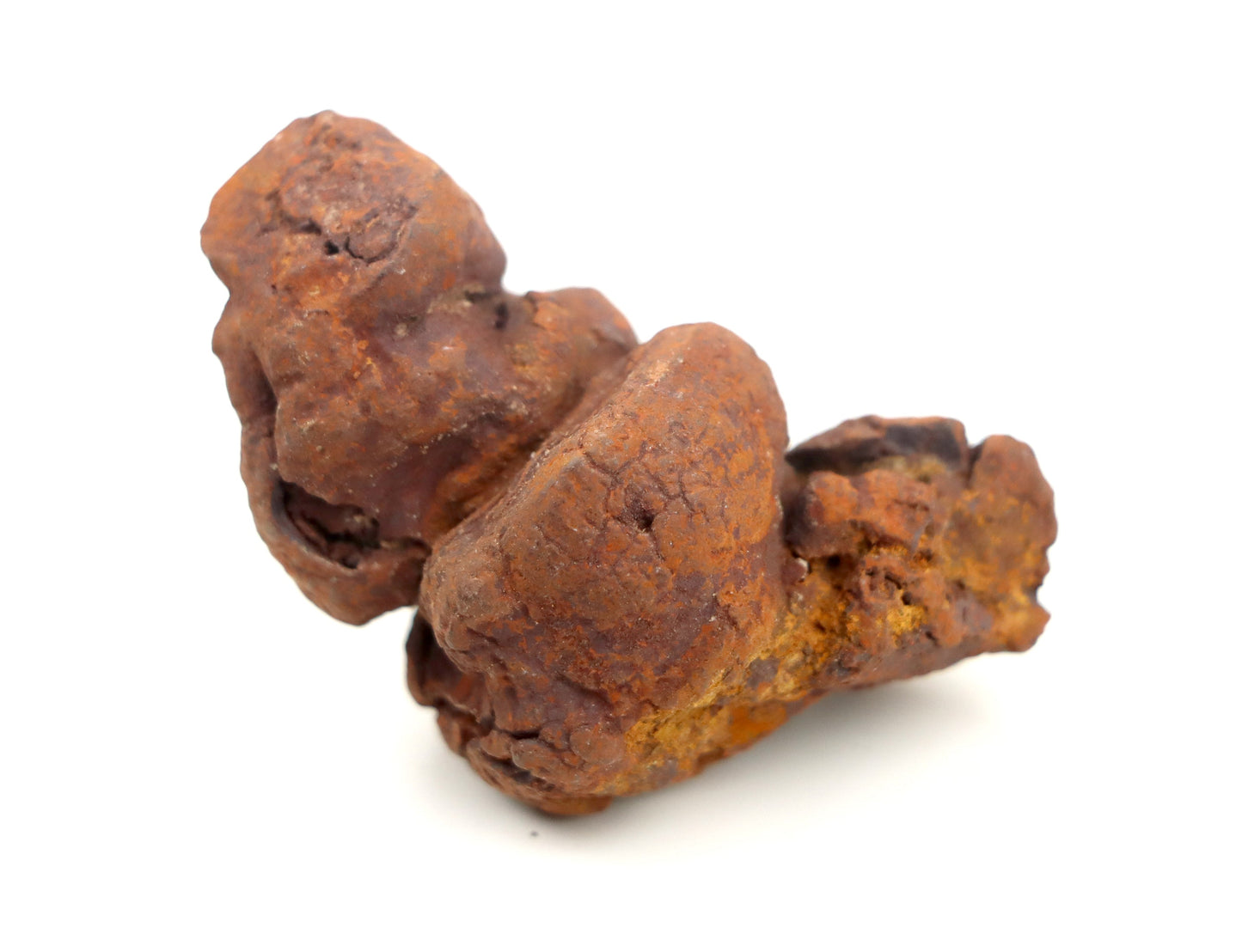 Dinosauří koprolit - Supreme Panthers