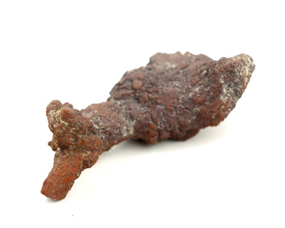 Dinosauří koprolit - Supreme Panthers