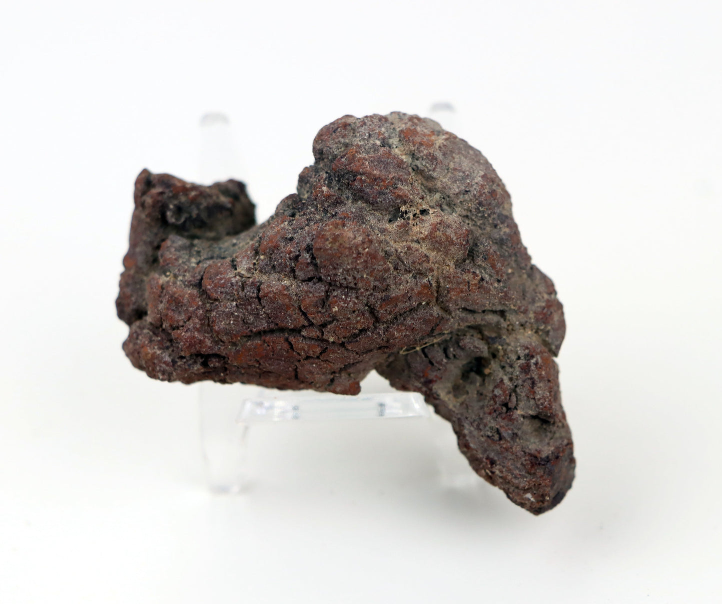 Dinosauří koprolit - Supreme Panthers