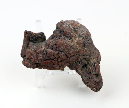 Dinosauří koprolit - Supreme Panthers