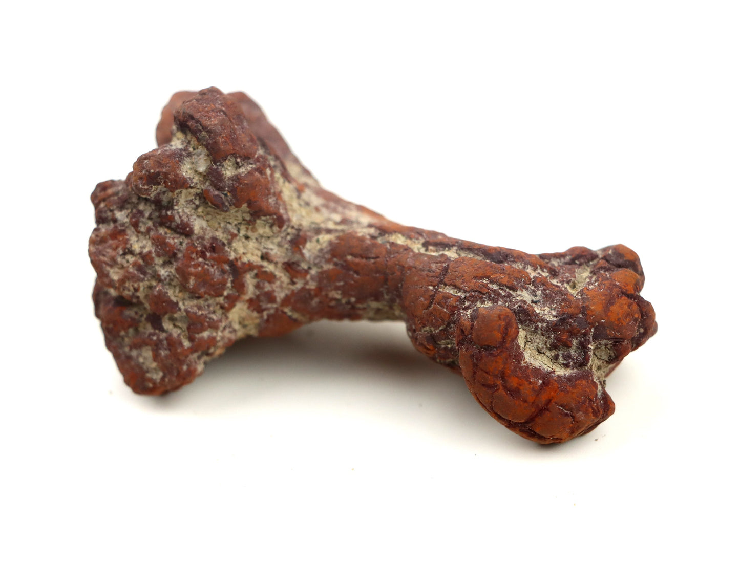 Dinosauří koprolit - Supreme Panthers