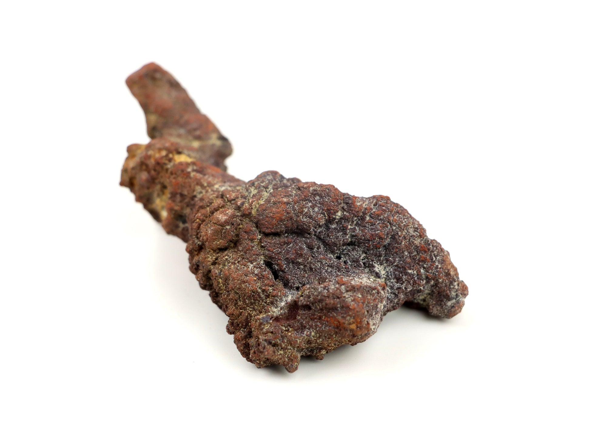 Dinosauří koprolit - Supreme Panthers