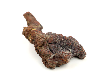 Dinosauří koprolit - Supreme Panthers