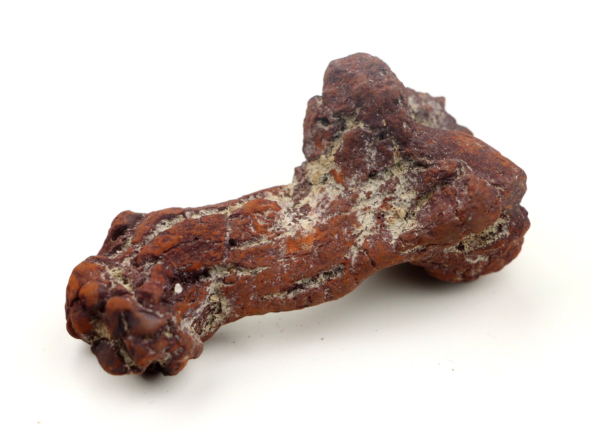 Dinosauří koprolit - Supreme Panthers