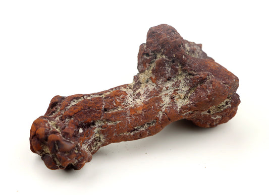 Dinosauří koprolit - Supreme Panthers