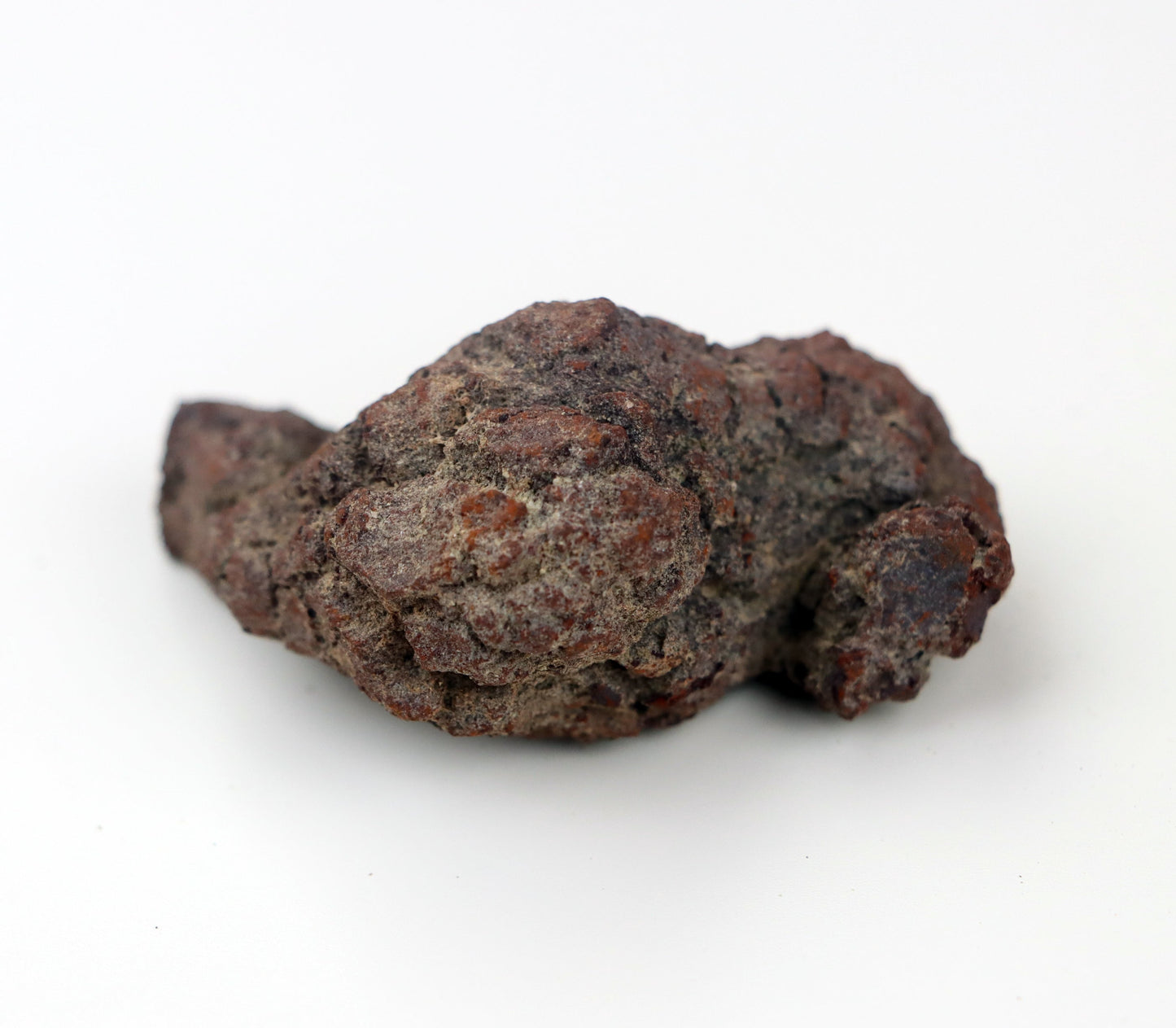 Dinosauří koprolit - Supreme Panthers