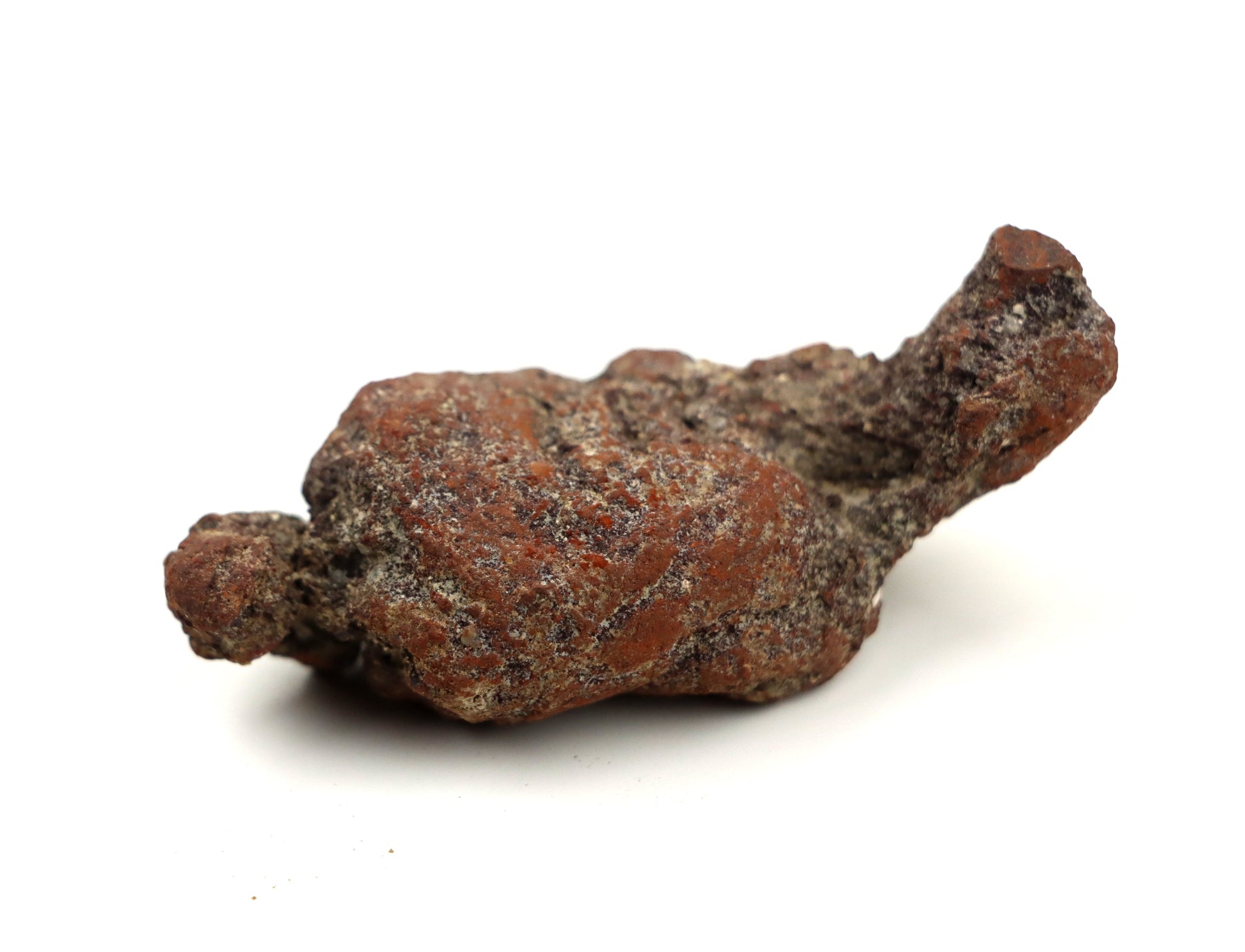 Dinosauří koprolit - Supreme Panthers