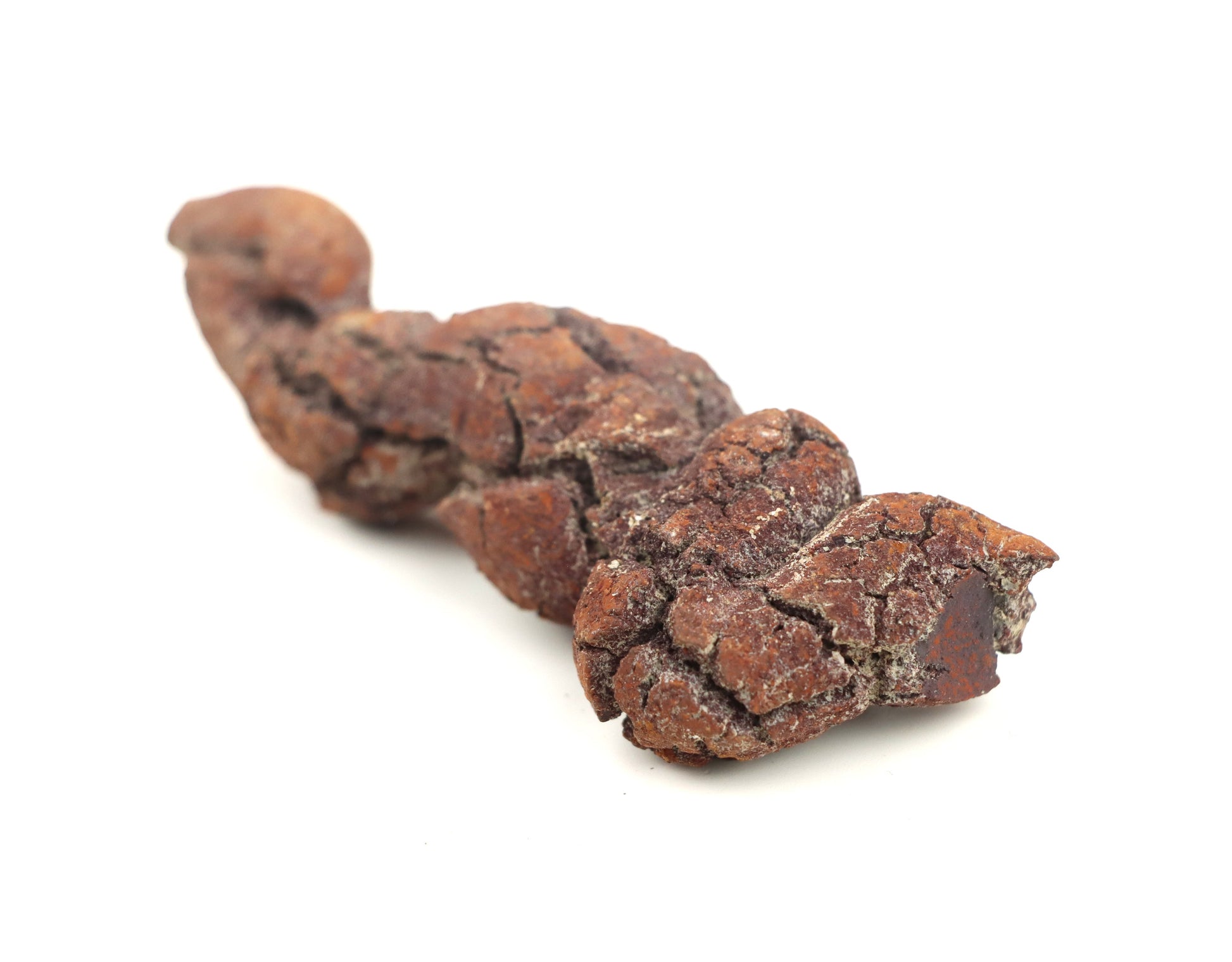 Dinosauří koprolit - Supreme Panthers