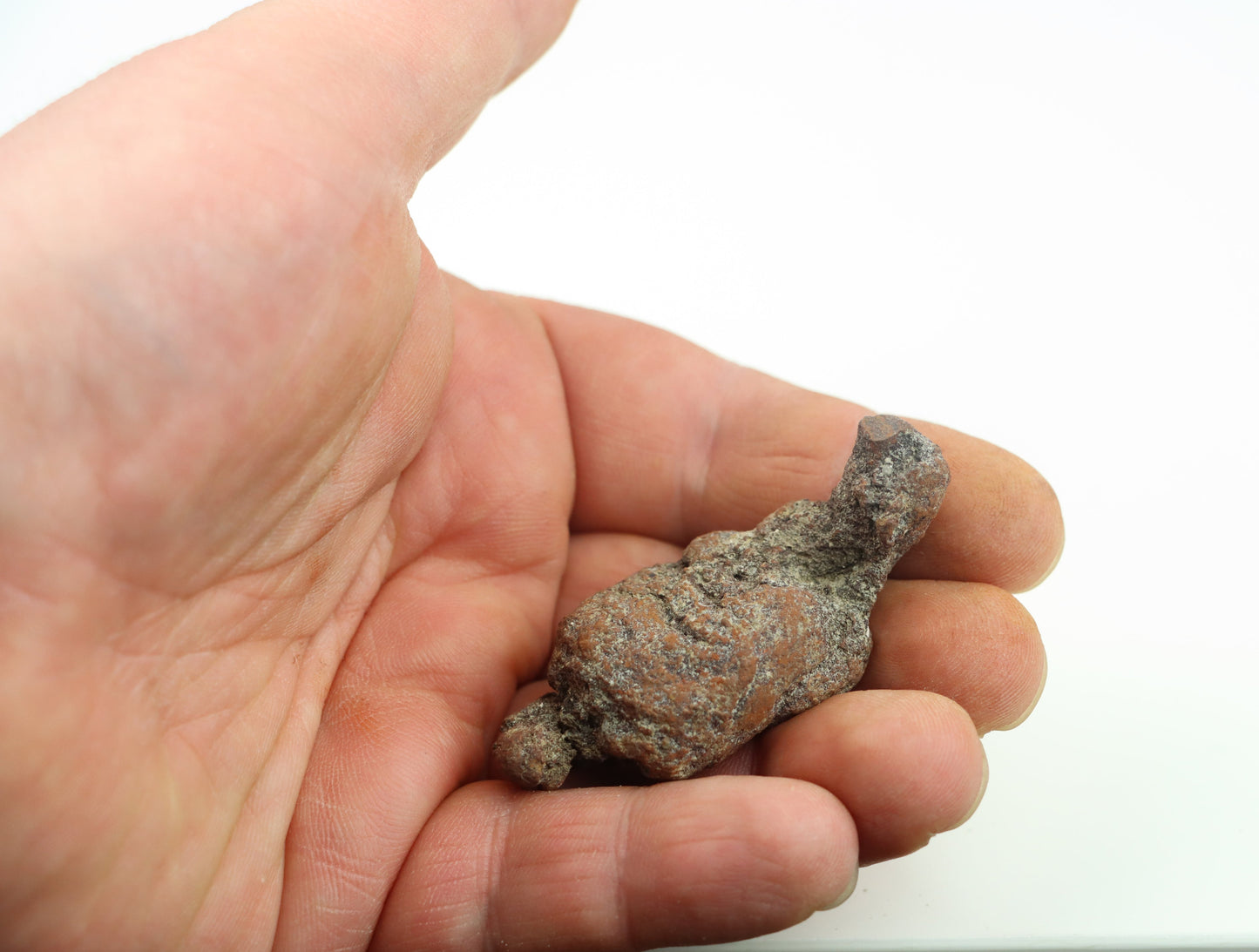 Dinosauří koprolit - Supreme Panthers