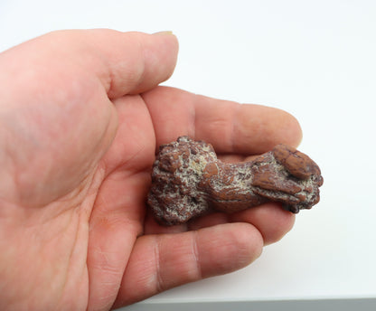 Dinosauří koprolit - Supreme Panthers