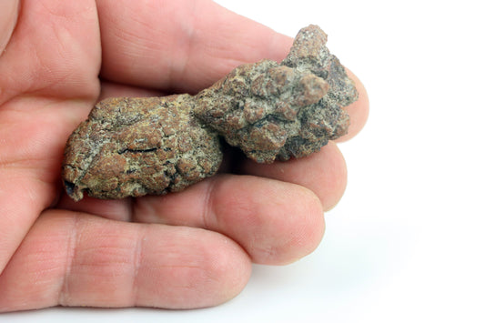 Dinosauří koprolit - Supreme Panthers