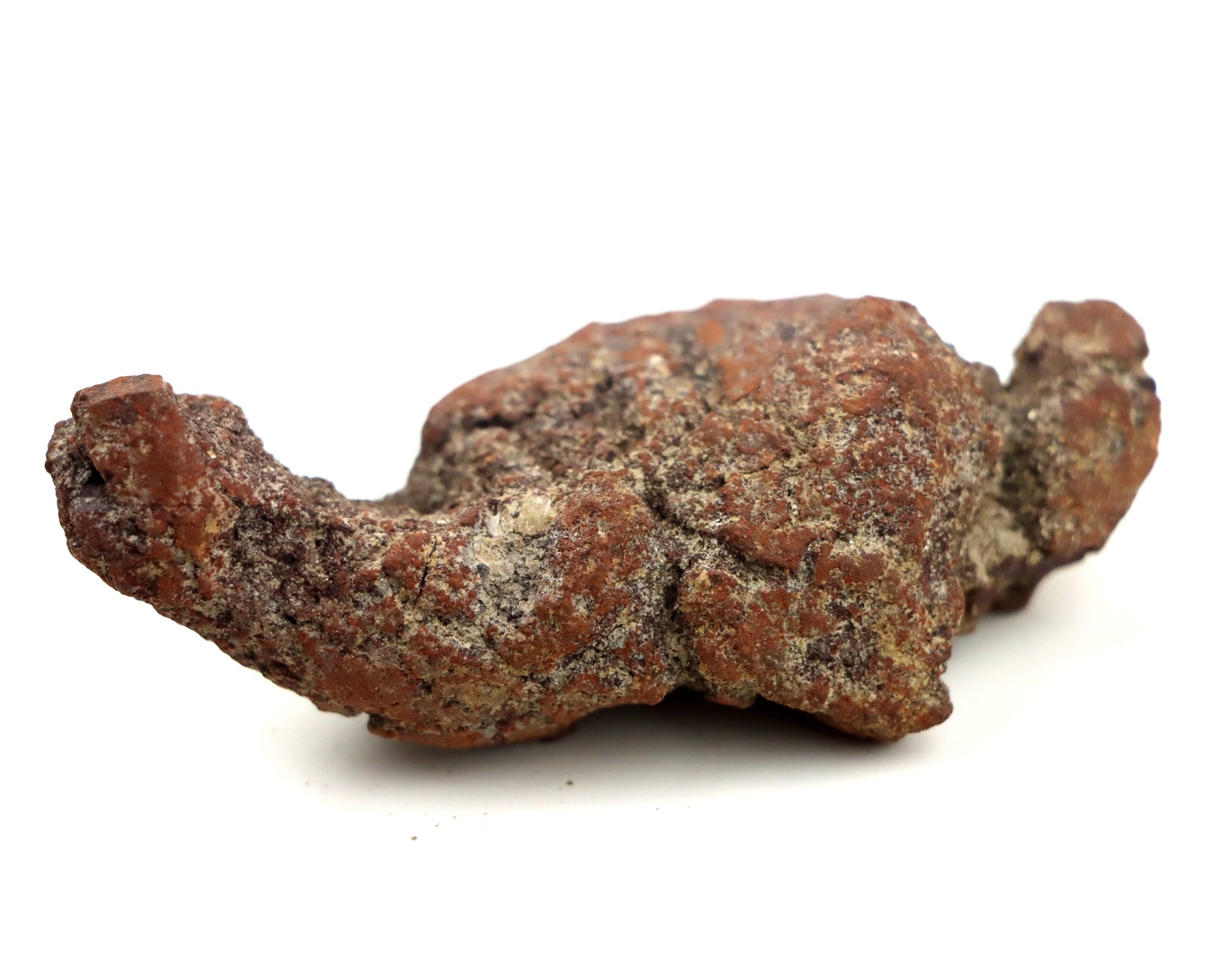 Dinosauří koprolit - Supreme Panthers