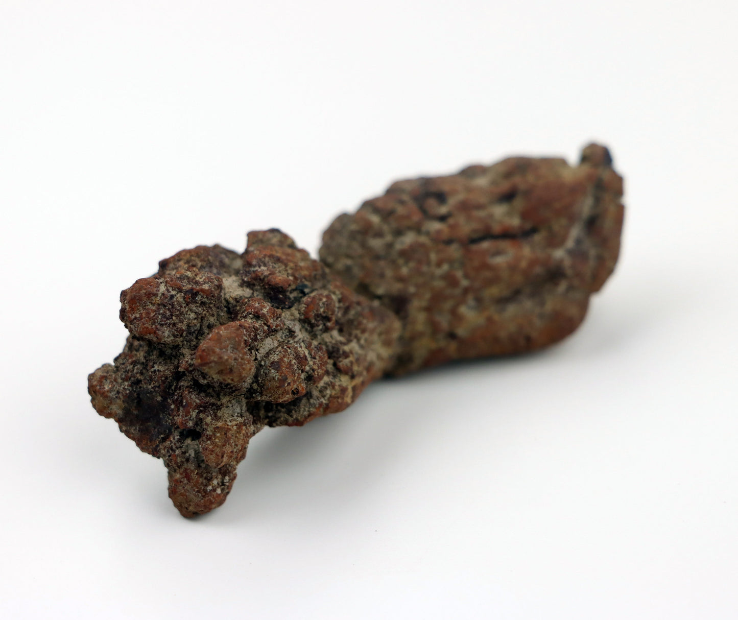 Dinosauří koprolit - Supreme Panthers