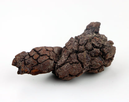 Dinosauří koprolit - Supreme Panthers