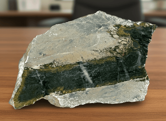 Drsnatý korál ve stínavsko - chabičovské břidlici - Supreme Panthers