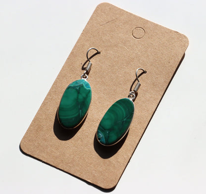 Držák kartonový ekologický na náušnice - Supreme Panthers