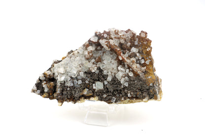 Fluorit kostková oboustranná drúza - Supreme Panthers