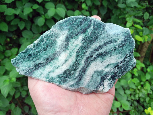 Fuchsit žíhaný - Supreme Panthers