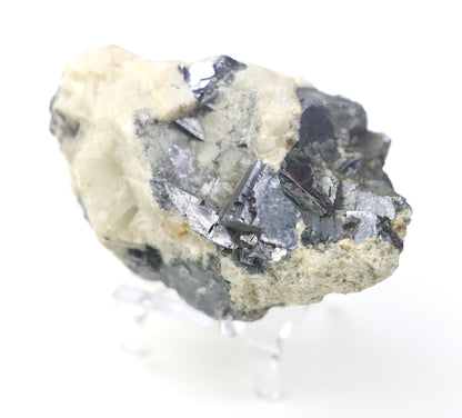 Galenit drúzka - Supreme Panthers