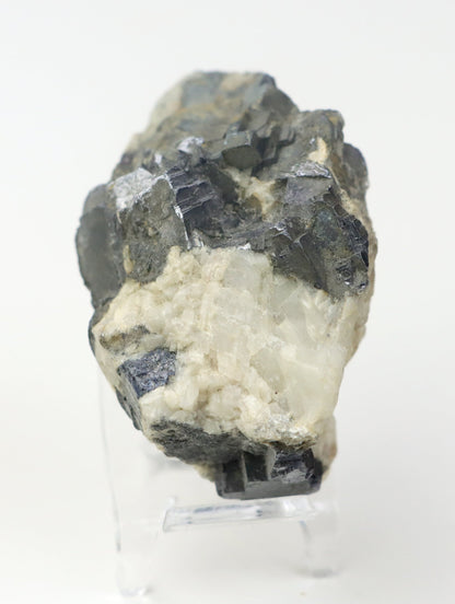 Galenit drúzka - Supreme Panthers