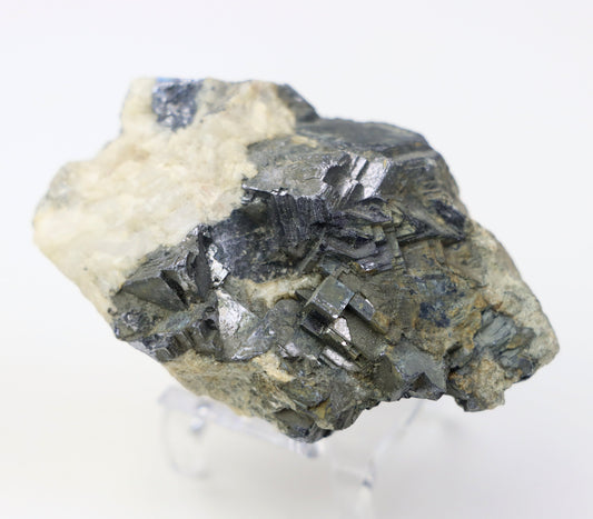 Galenit drúzka - Supreme Panthers