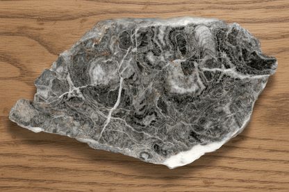 Goniatiti v neptunických žilách - Supreme Panthers