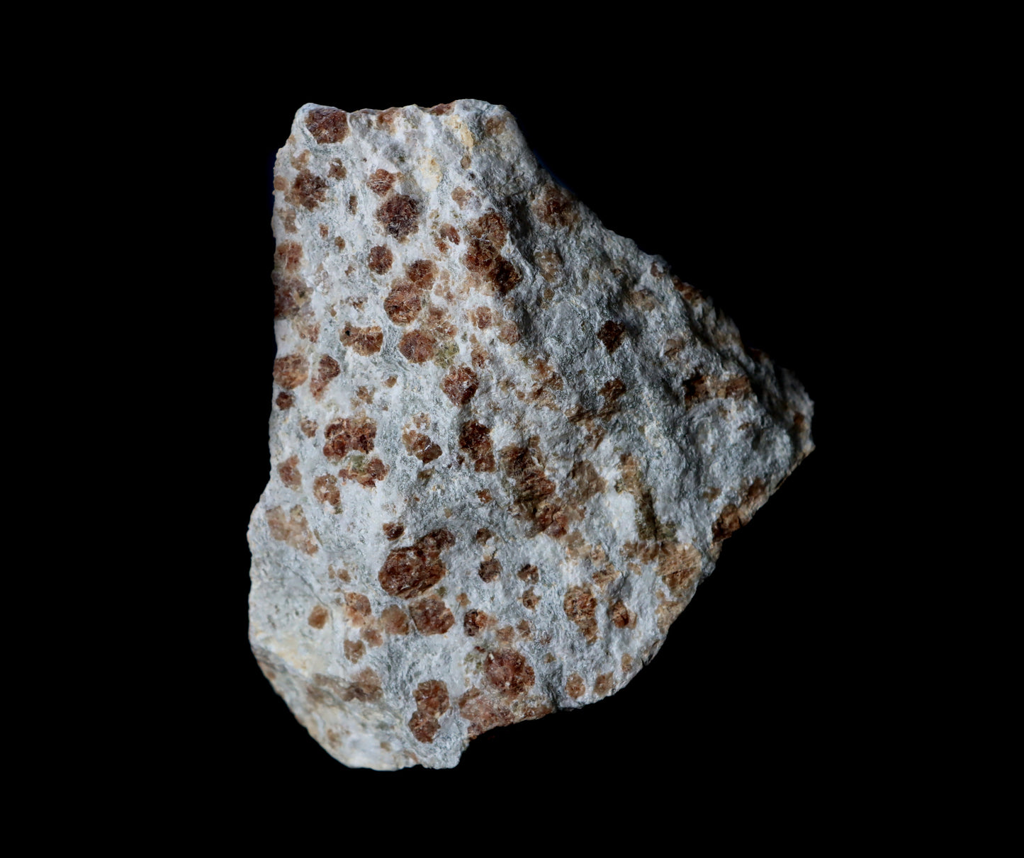 Grosulár v bludovitu - Supreme Panthers