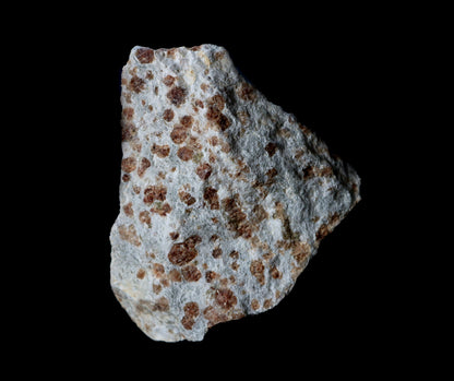 Grosulár v bludovitu - Supreme Panthers