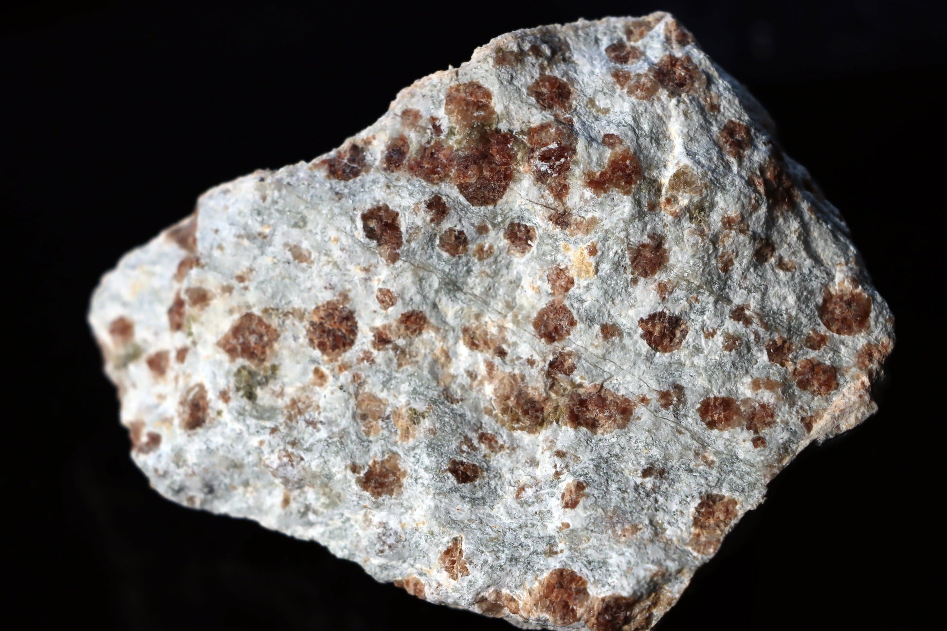 Grosulár v bludovitu - Supreme Panthers