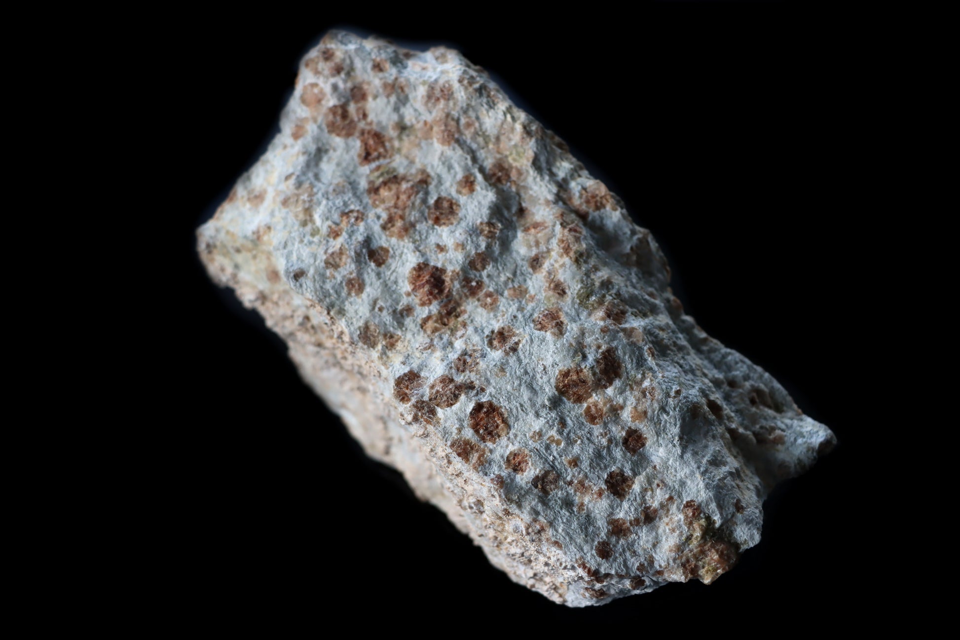 Grosulár v bludovitu - Supreme Panthers