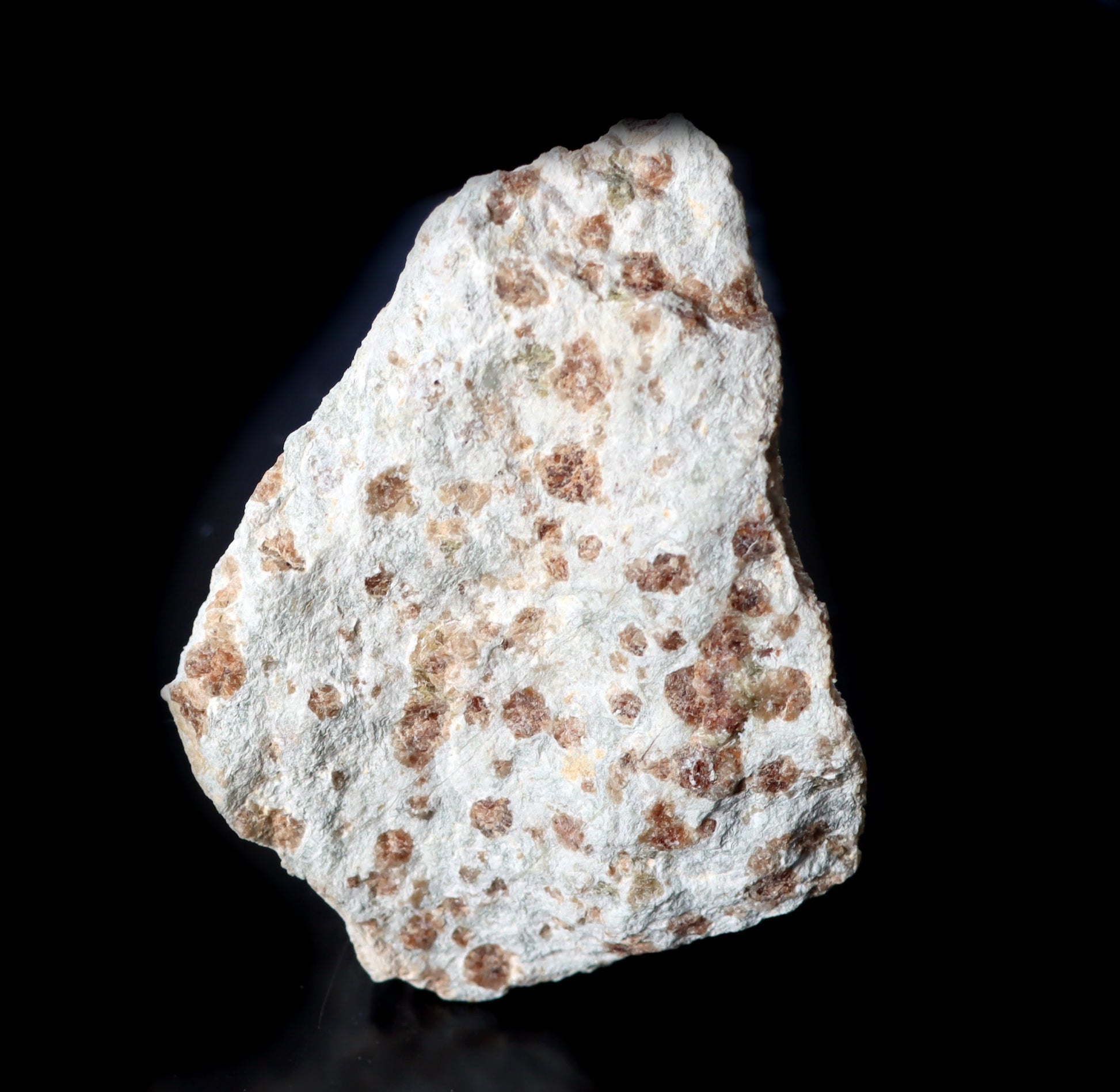 Grosulár v bludovitu - Supreme Panthers