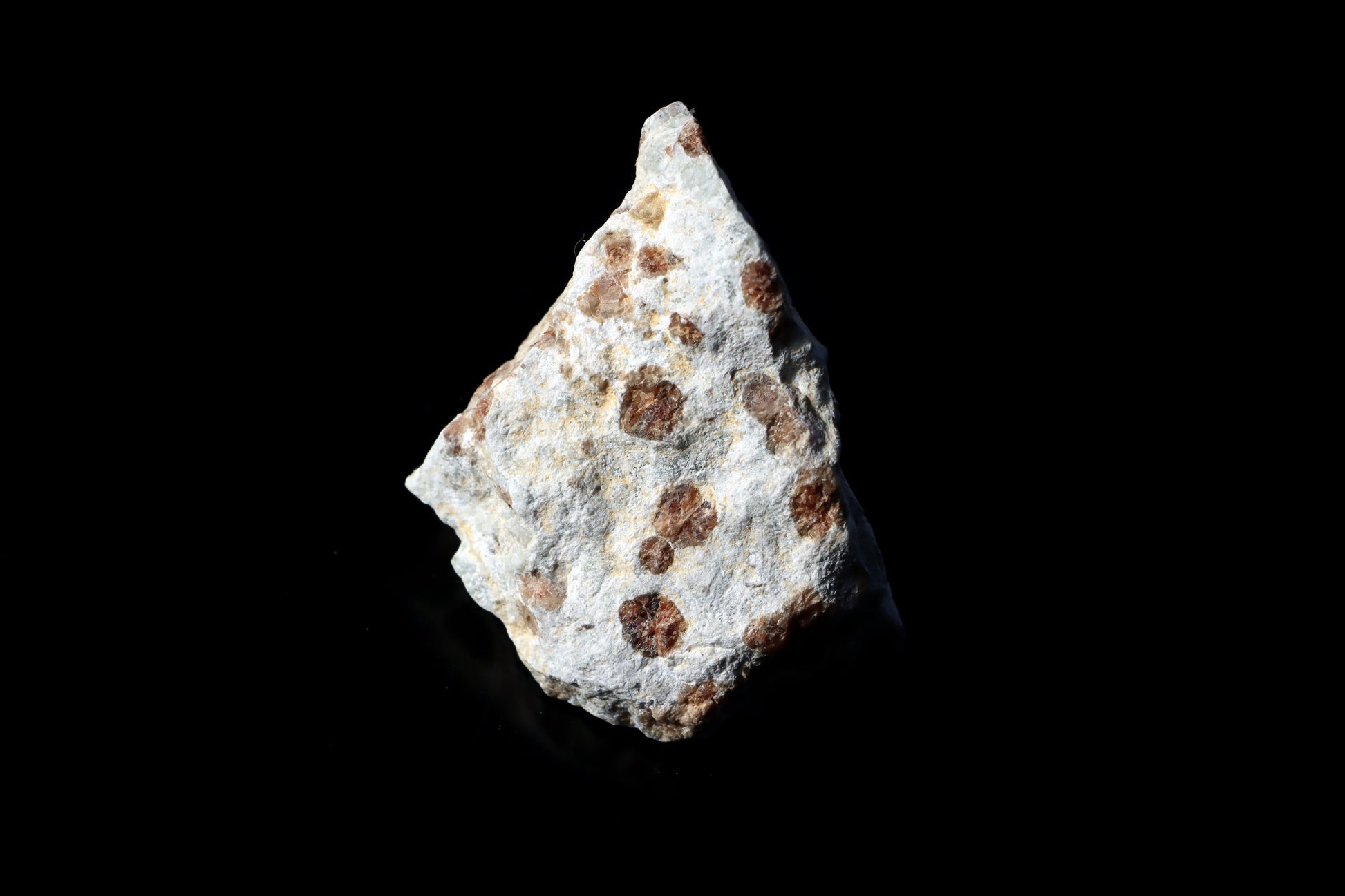 Grosulár v bludovitu - Supreme Panthers