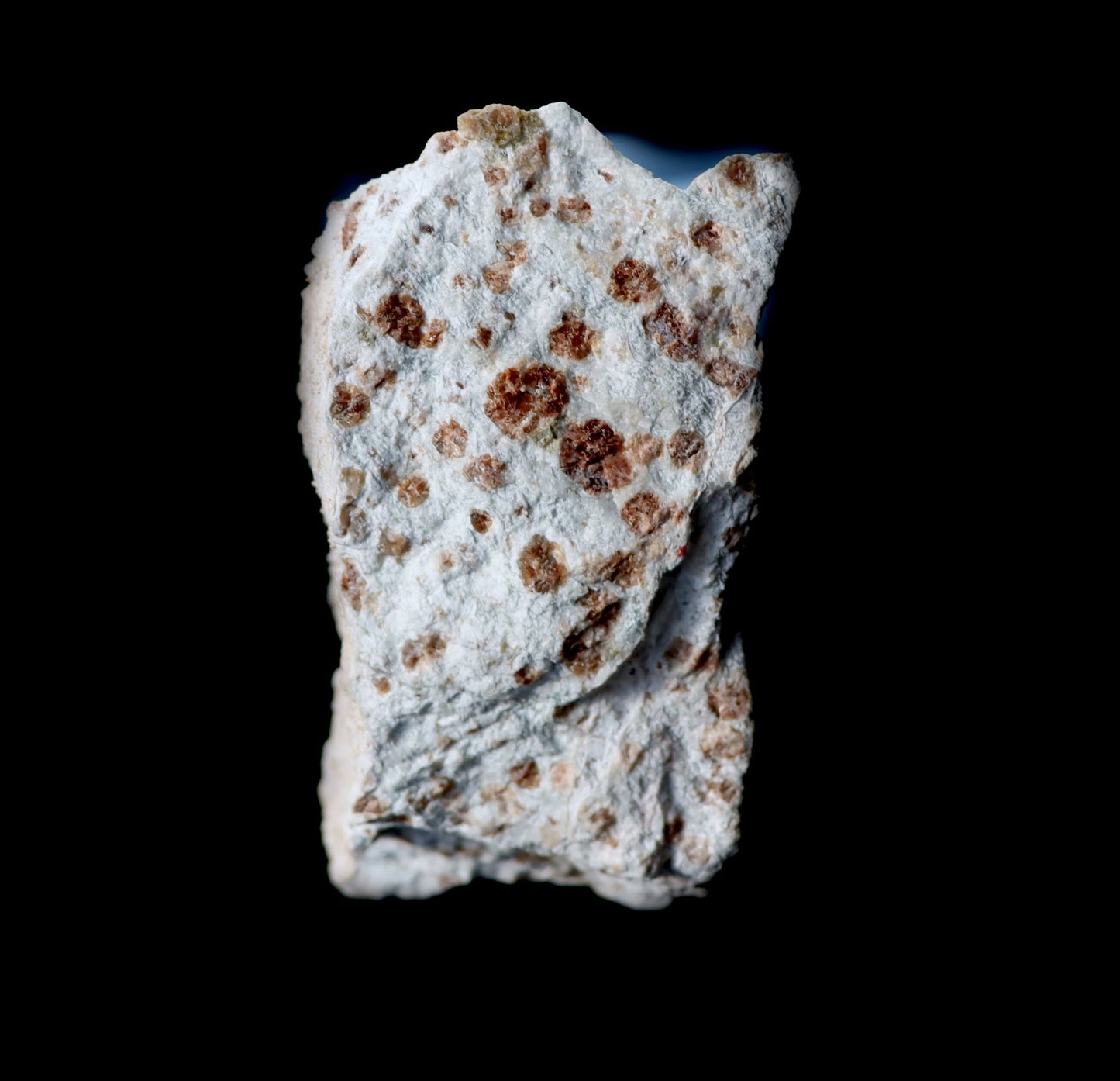 Grosulár v bludovitu - Supreme Panthers