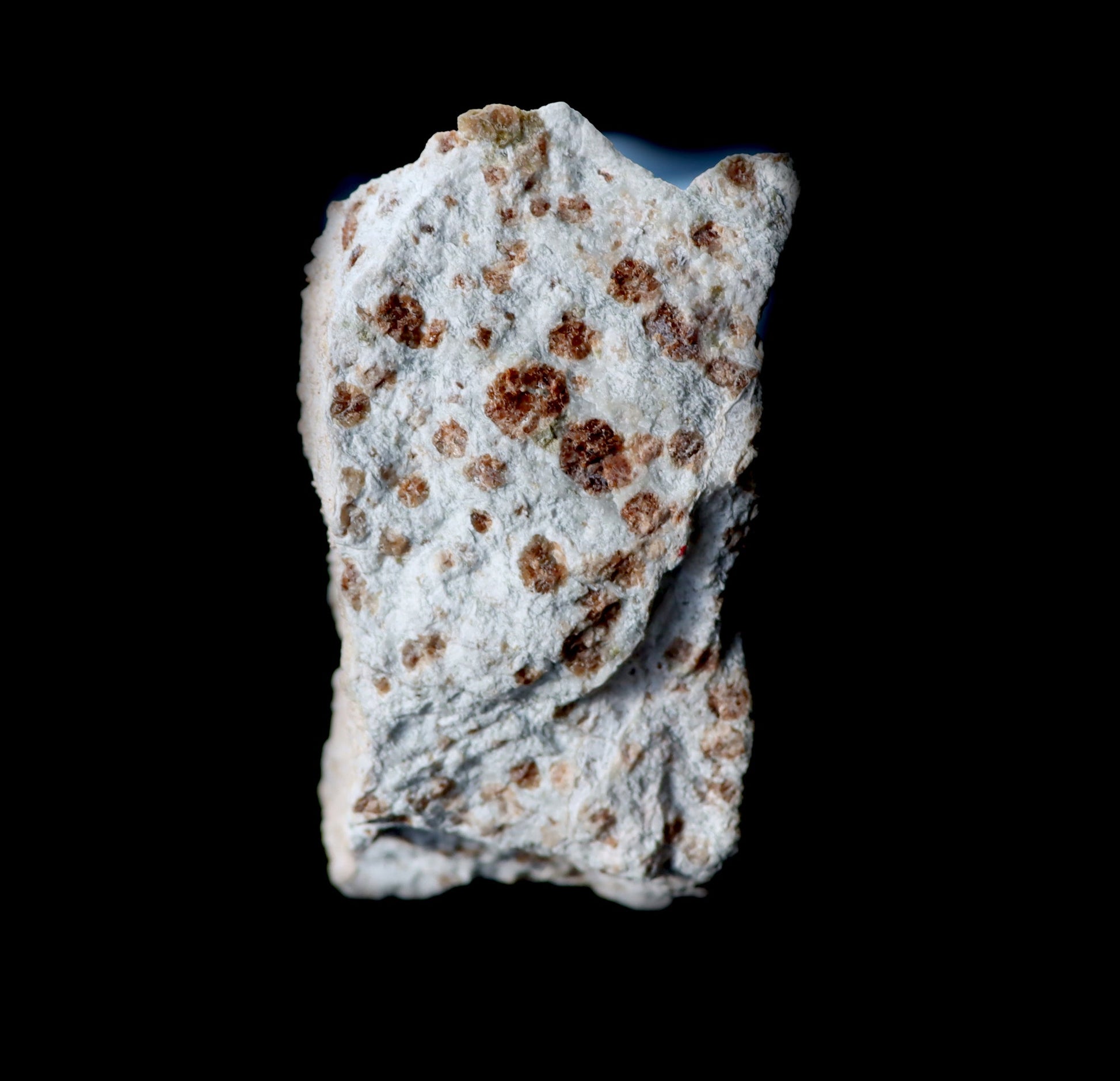 Grosulár v bludovitu - Supreme Panthers