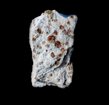 Grosulár v bludovitu - Supreme Panthers